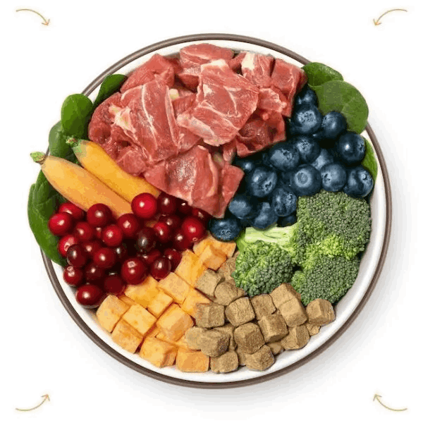 Nutra Complete Dog Foods Ingredients
